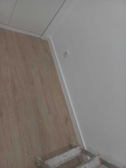Professional Painter475924498764933121