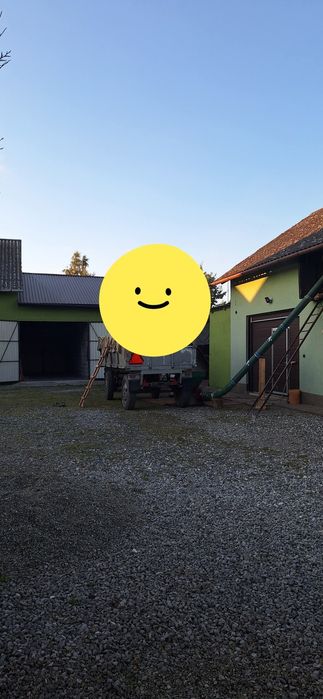 Pszenżyto- pszen pszenżyto - pszenzyto