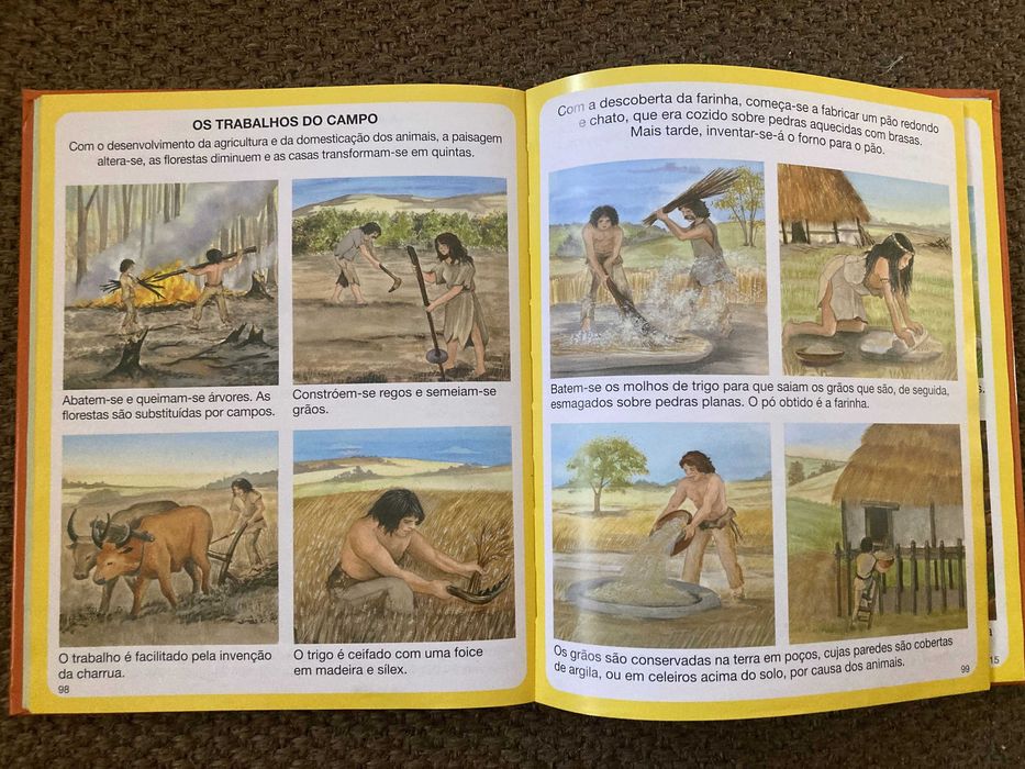 Livros sobre dinossauros