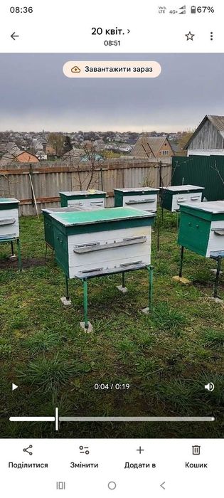 Продам вулики дадан,  суш та навощені нові рамки