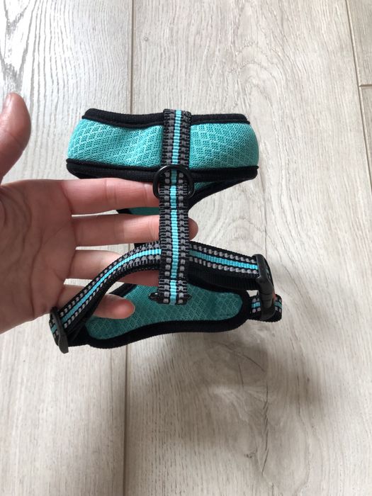 Шлея BronzeDog Mesh для собак дрібних порід, сітчастий нейлон, ментоловий, 28-33 см