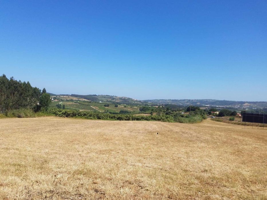 Terreno para arrendar em Bombarral junto da A8