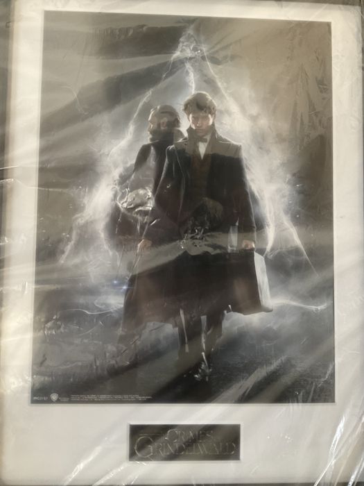 Moldura Harry Potter Monstros Fantásticos 2 Dumbledore e Newt Nova
