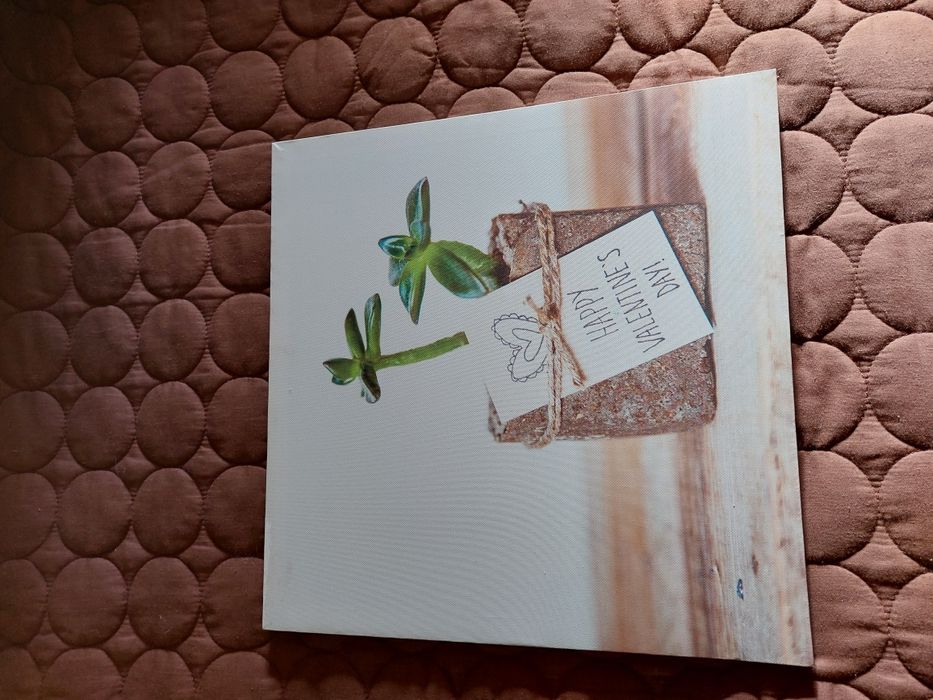 Set of 2 Canvases64752101586177122