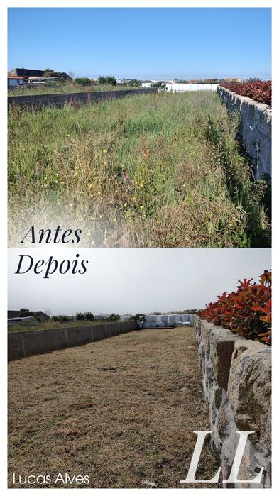 Manutenção de jardins 
• Podas de árvores 
• Limpeza de Terrenos 
• Construção de jardins e Relvados