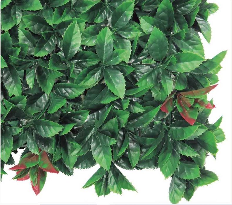 Jardim Vertical - RED LAURO
