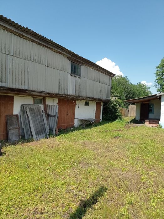 Продам садибу в селі Олишівка.