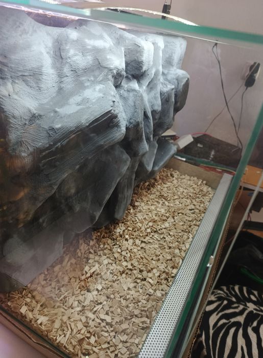 Terrarium nowe ze ścianką
