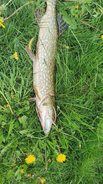 Dla wędkarzy, Pojezierze drawskie sezon2026