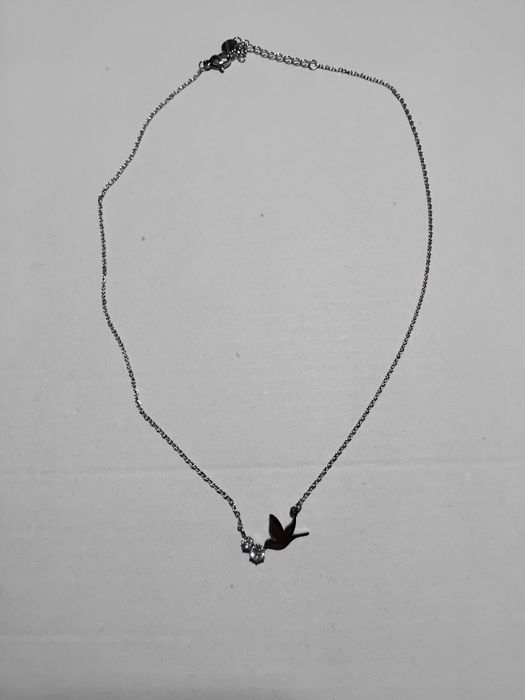 Colar com pasarinho e brilhante