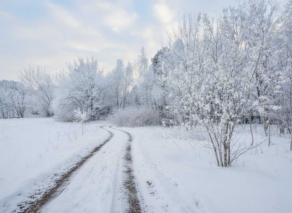 Продаж ділянки 25сот під забудову. Поряд озеро. Біля лісосмуги. ID:405
