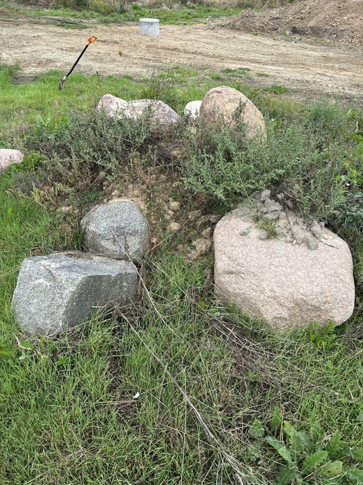 Głazy, duże kamienie na skalniak.