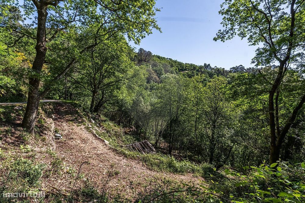 Terreno  para venda