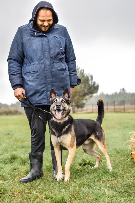 Komandos czeka na wspaniały dom