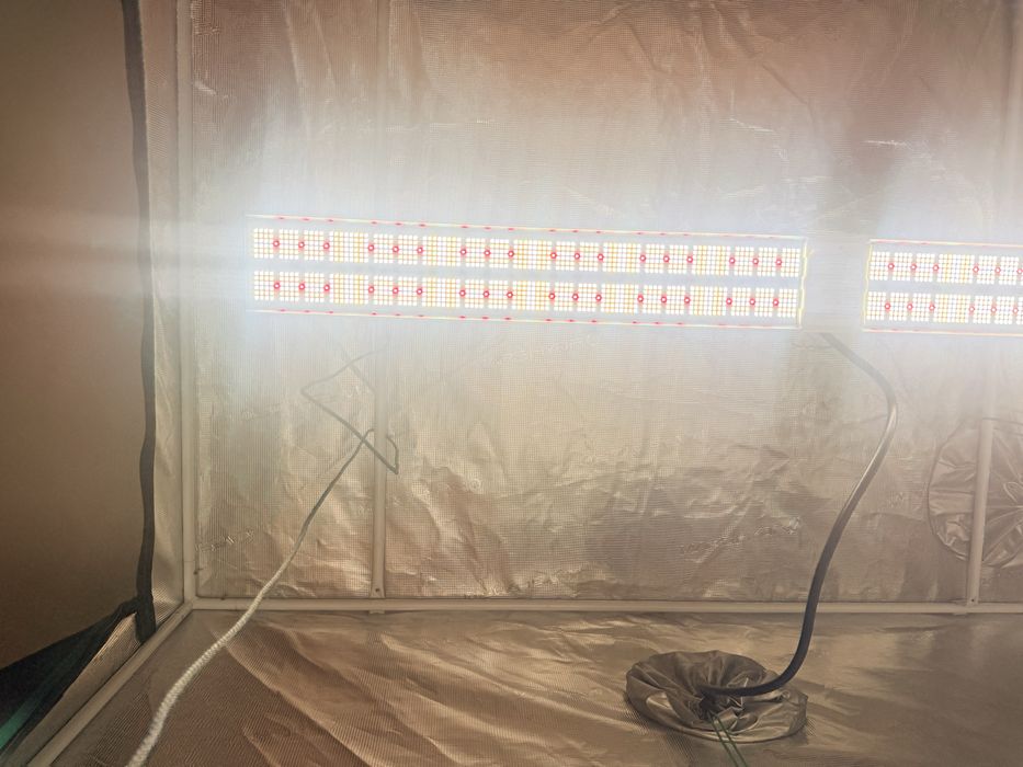 Mars Hydro SP 650W Samsung