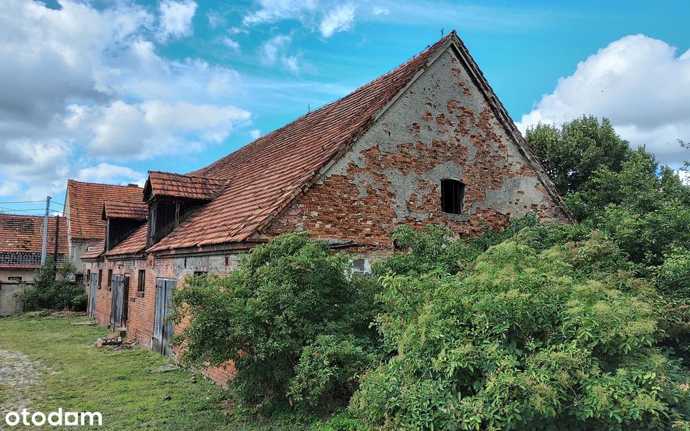 Dom – Rogów Wołowski - Widok 5