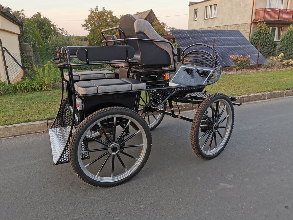 Bryczka maraton trening