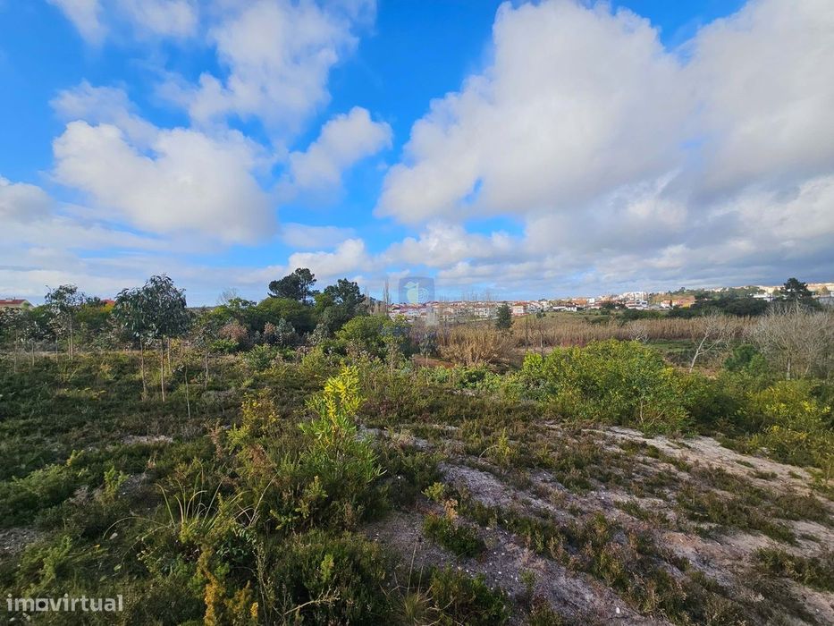 Terreno Exclusivo na Quinta do Pinheiro – Caldas da Rainha