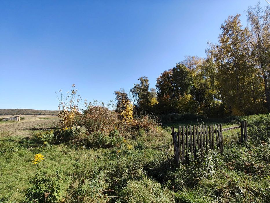 Понад 40 соток землі зі старим будинком в мальовничому селі.