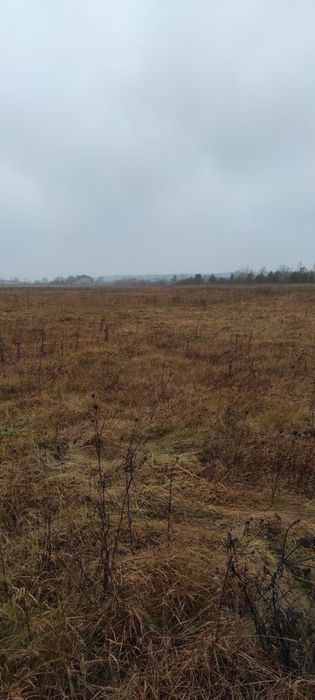 Земельна ділянка село Забороль