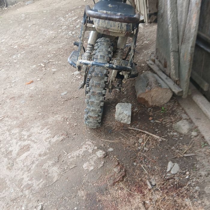 Мустанг дінго 125
