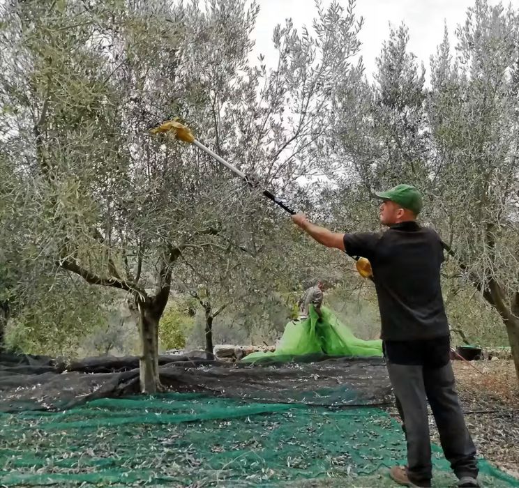 Prestaçoes de Serviços Agricolas