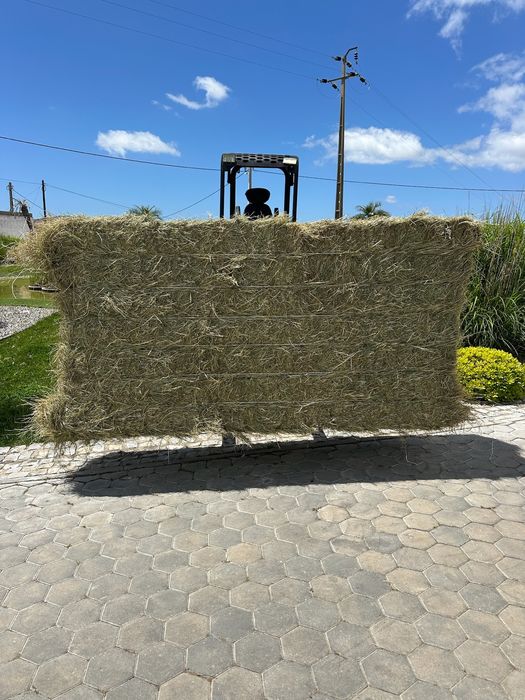 Fardos de Feno Francês de Alta Qualidade de 500 kg