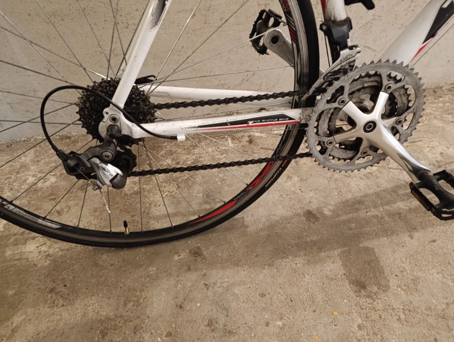 Rower Teamraider Race l