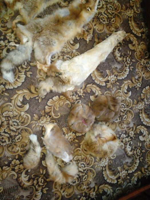 Мех для пошиву.чюлок.