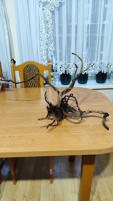 Akwarium 54l z osprzętem Polecam