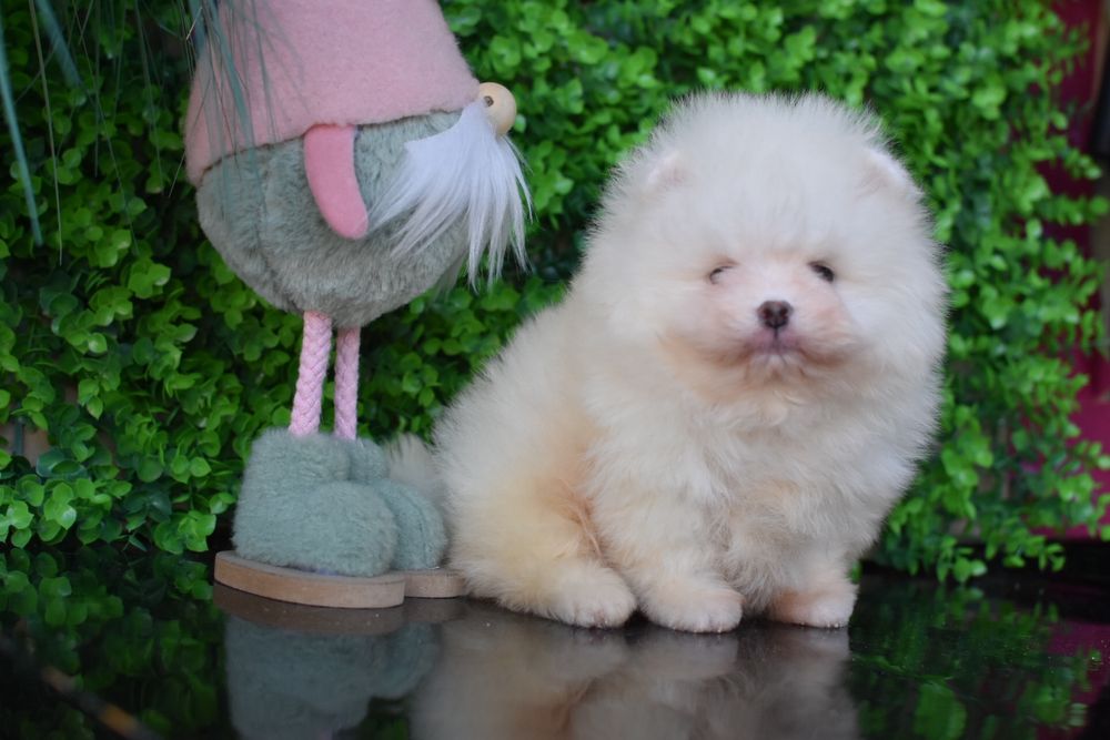 Файний хлопчик