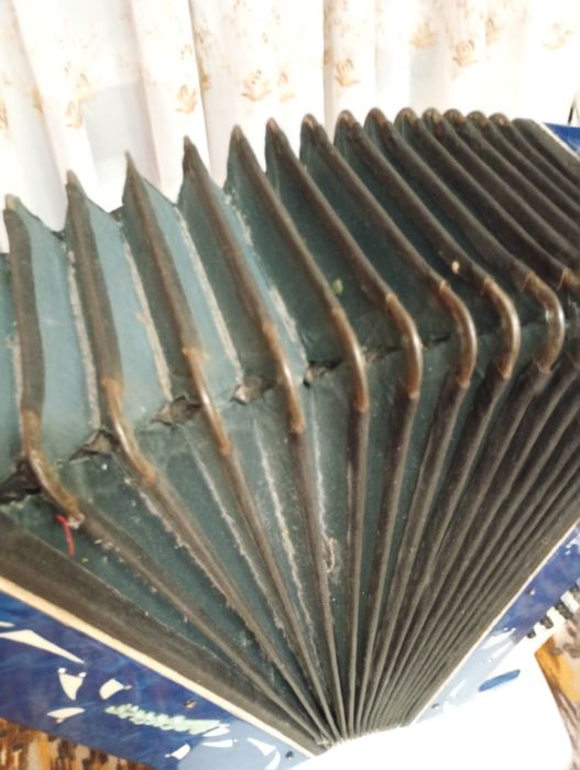 Гармонь Весна с наклейками