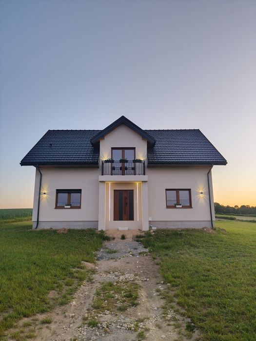 Elewacje i Docieplenia budyknów. (Możliwość samej struktury)