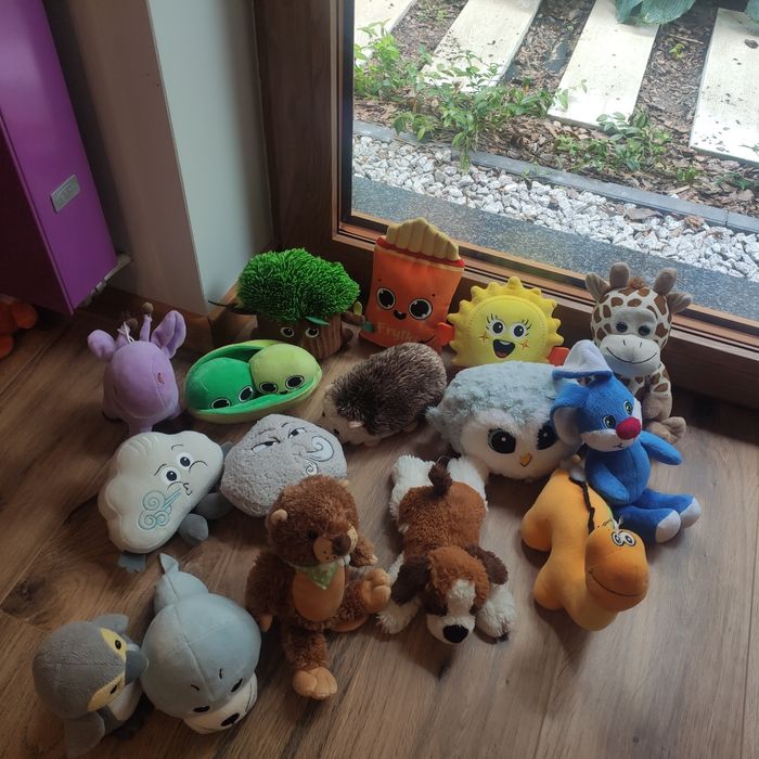 Maskotki,pluszaki, Biedronka