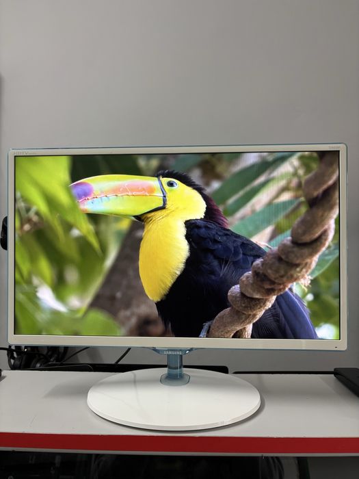 Телевізор-монітор Samsung T24D391EX (гібридний пристрій)
