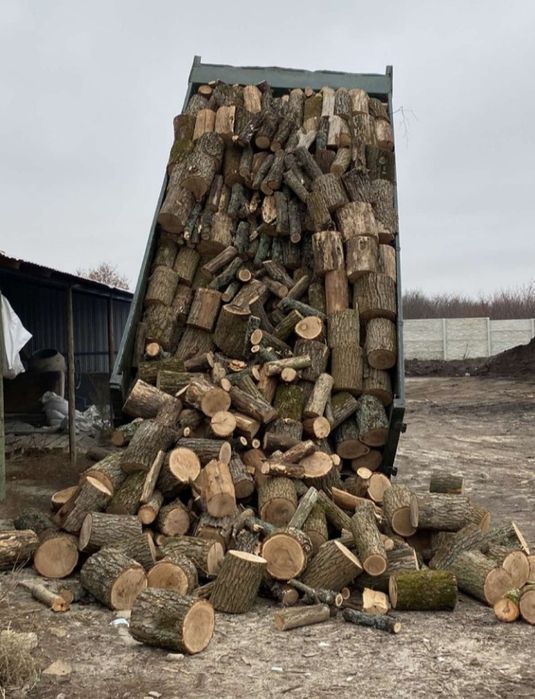 Дрова дубові твердих порід