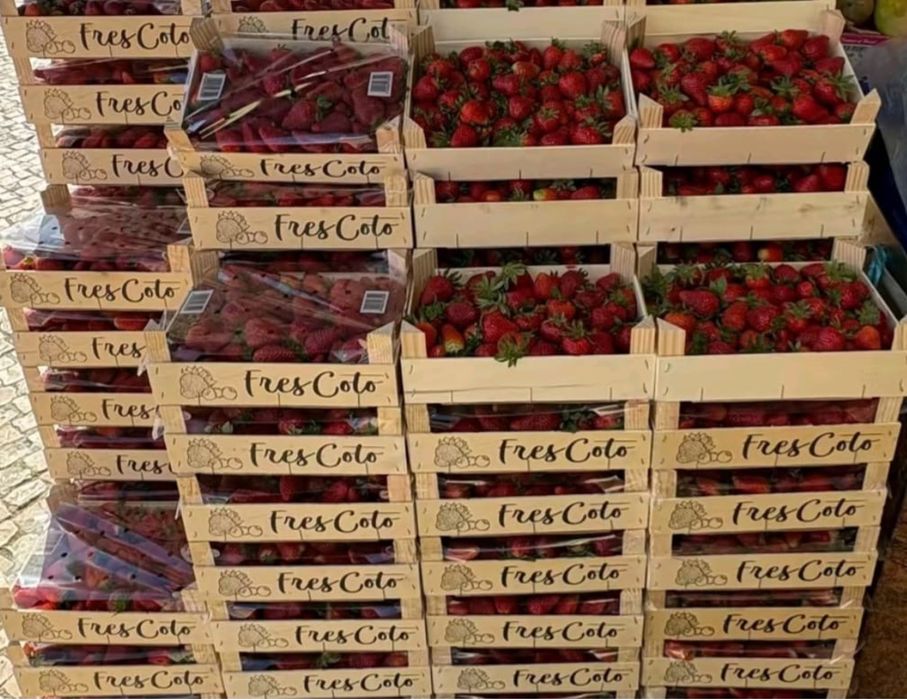 Fruta fresca (entregamos na zona de Lisboa)