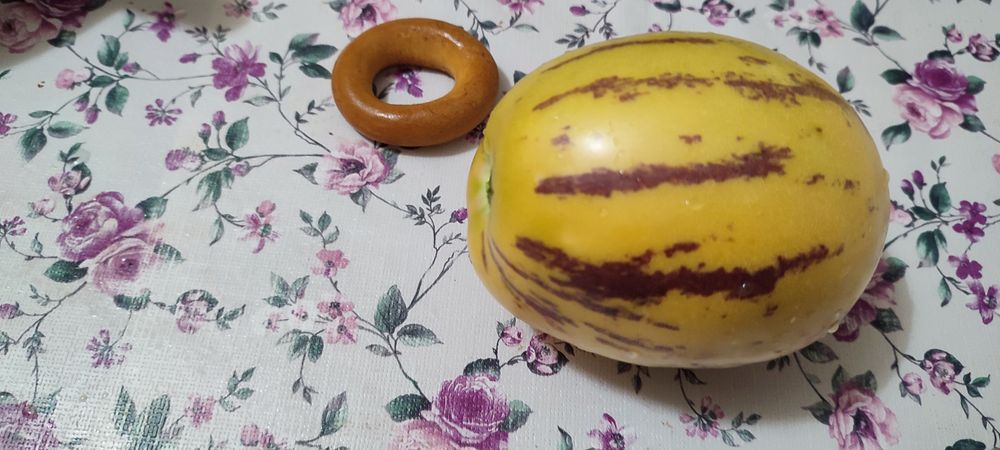 Саджанці пепіно, росада пепіно.