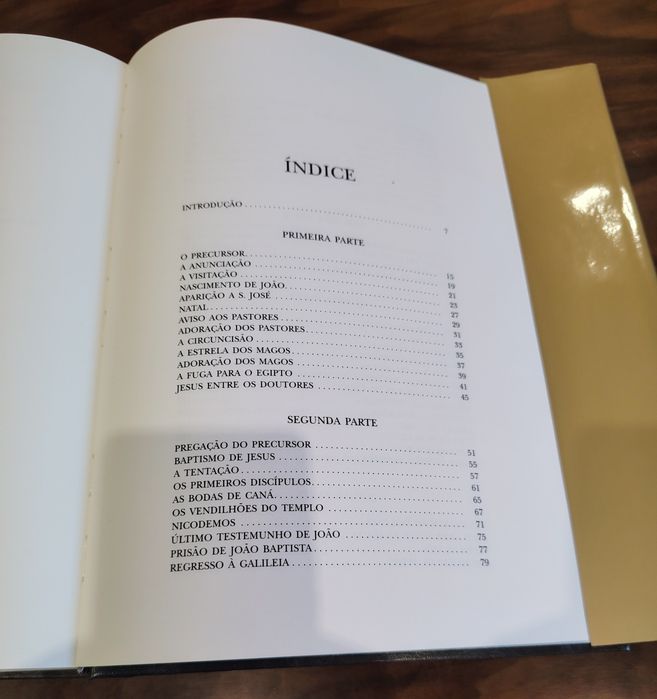 Livro "A vida de Jesus" de Raul Correia