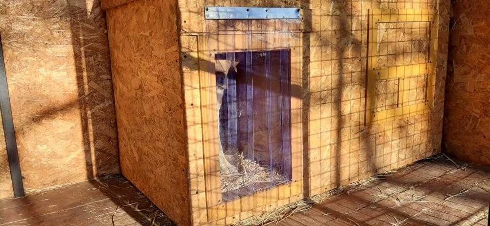 Шторка ПВХ для собачьей будки.