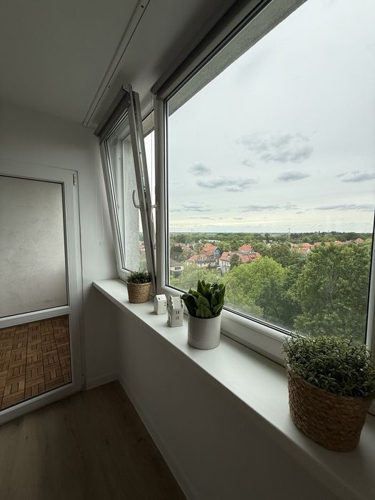 Powstańców Śląskich - Park Południowy - Krzyki - Borek - View 6