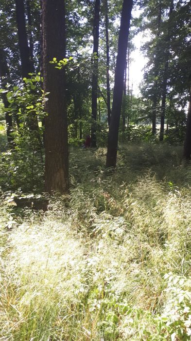 Działka rekreacyjna nad jeziorem Żywy - Vista 4