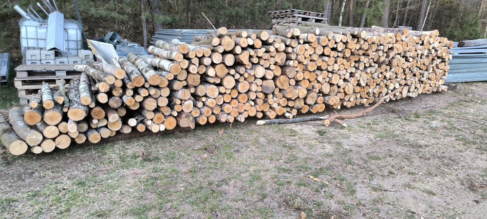 Drewno opałowe liściaste brzoza stos