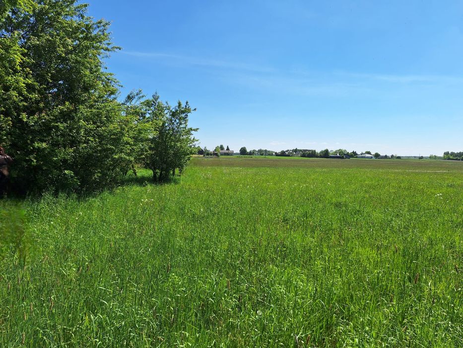 Działka Łąka Pastwisko Ortel Książęcy