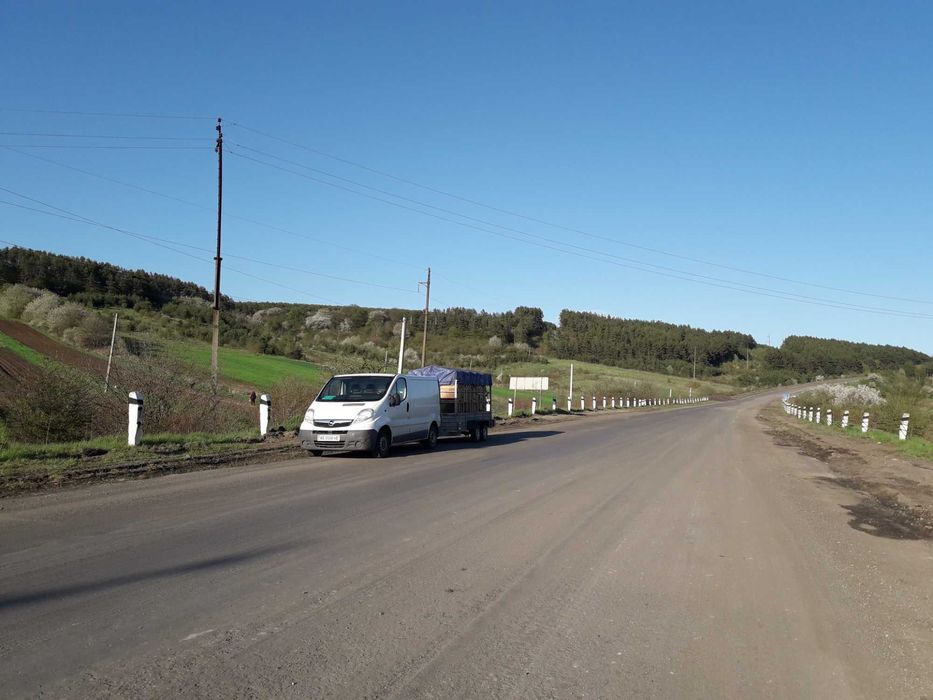 Пчелопакеты, Бджолопакети Бакфаст, Карніка