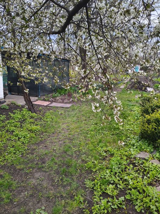 Шашлик Барбекю Отдых Відпочинок Беседка Альтанка
