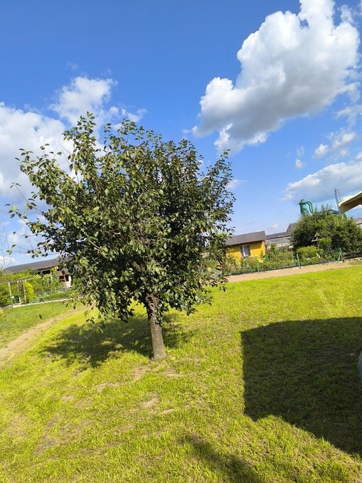 Działka ogrodowa Zduny 350m2