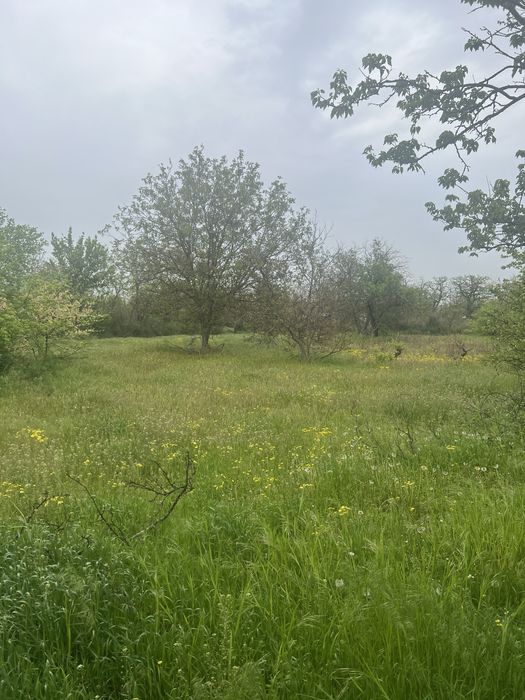 Продається хатинка біля річки і ліса