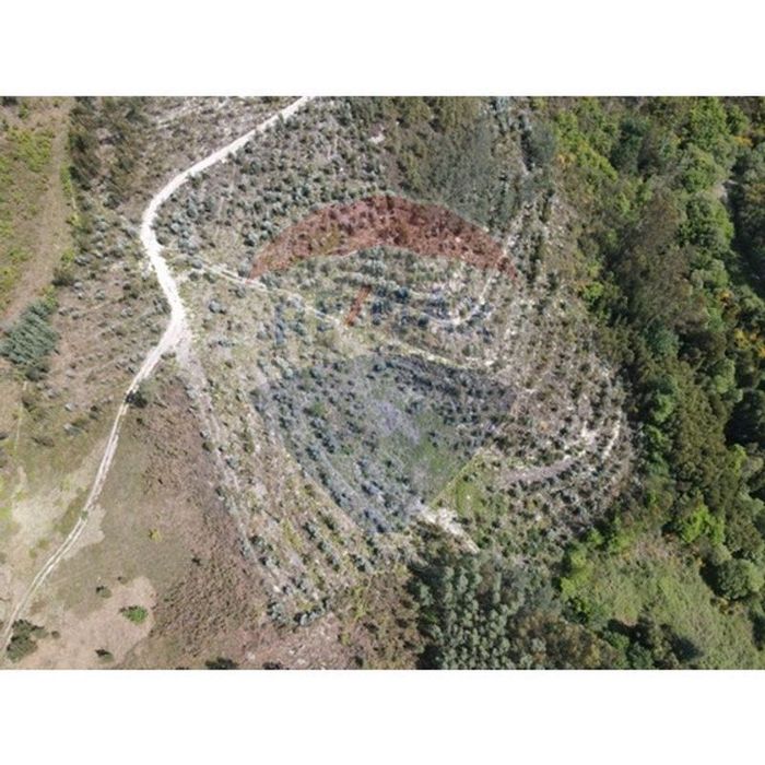 Terreno  para venda — Vieira do Minho, Braga