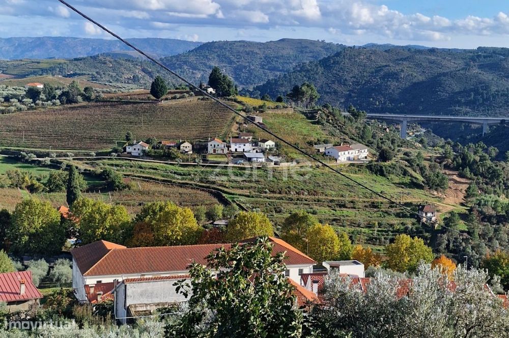 Terreno rustico , lugar do Plames, Murça